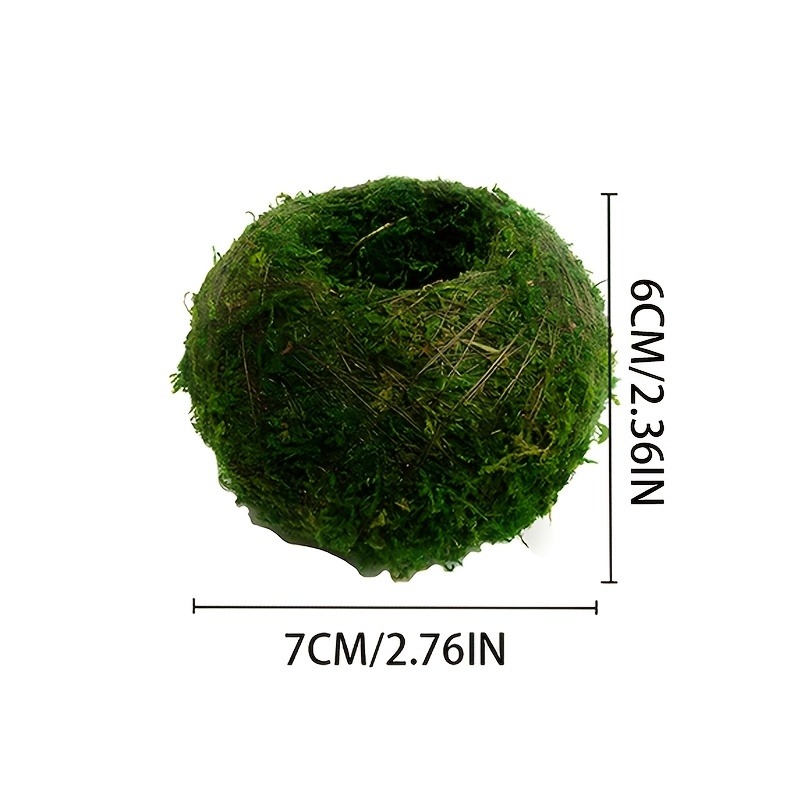 Künstlicher Moosball-Pflanzgef – Sphagnum Moss Dry Bewertung und Preis