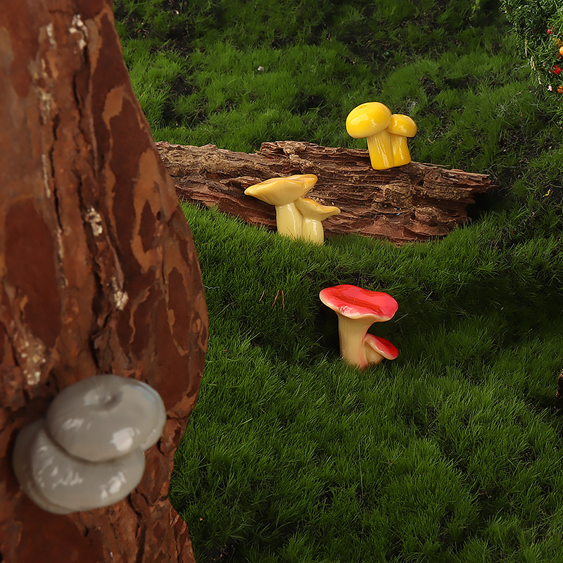 Moos-Mikrolandschaft Kreative  – Sphagnum Moss Dry Bewertung und Preis